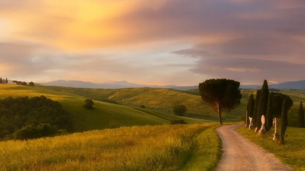 Campi e strada di campagna al tramonto